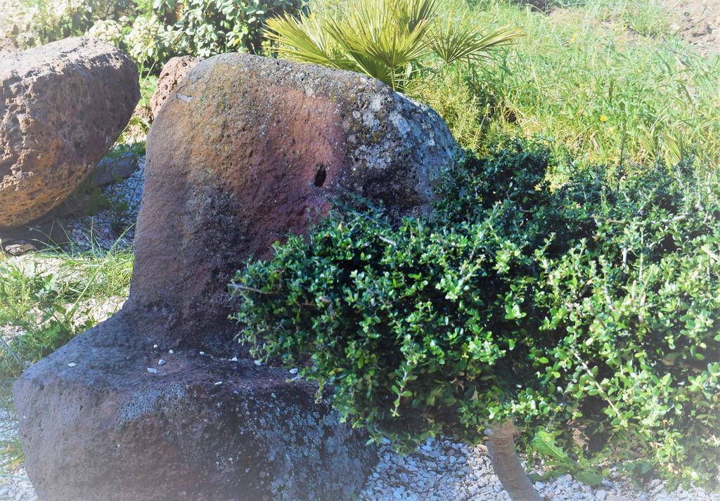 La Ginestra Guest House Orosei Exterior foto